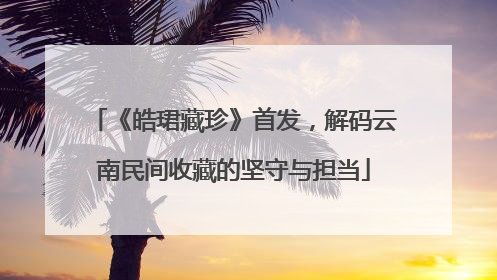 《皓珺藏珍》首发，解码云南民间收藏的坚守与担当