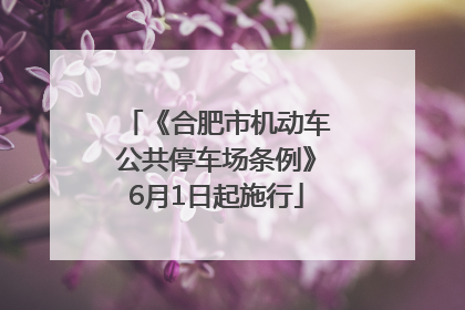 《合肥市机动车公共停车场条例》6月1日起施行