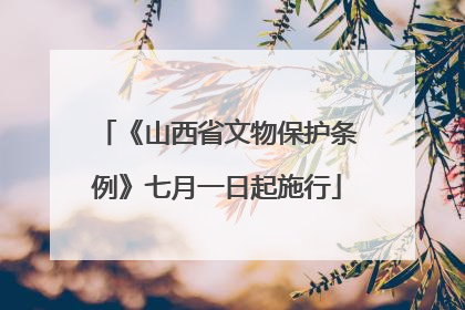 《山西省文物保护条例》七月一日起施行