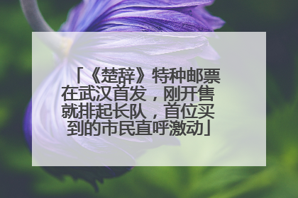 《楚辞》特种邮票在武汉首发，刚开售就排起长队，首位买到的市民直呼激动