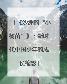 《沙洲的“小树苗”》：新时代中国少年的成长缩影