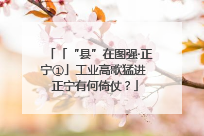 「“县”在图强·正宁①」工业高歌猛进 正宁有何倚仗？