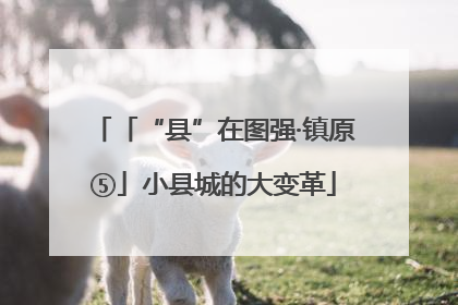 「“县”在图强·镇原⑤」小县城的大变革