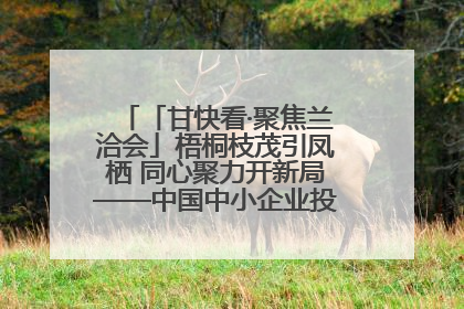 「甘快看·聚焦兰洽会」梧桐枝茂引凤栖 同心聚力开新局——中国中小企业投资洽谈会侧记