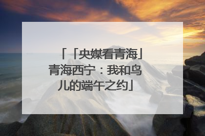 「央媒看青海」青海西宁：我和鸟儿的端午之约