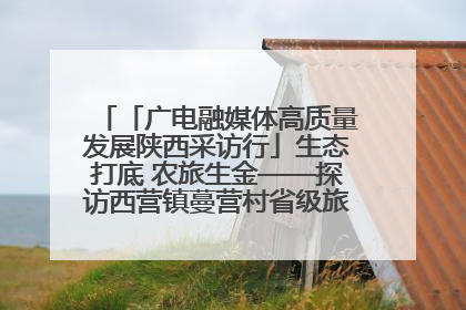 「广电融媒体高质量发展陕西采访行」生态打底 农旅生金——探访西营镇蔓营村省级旅游示范村的振兴密码