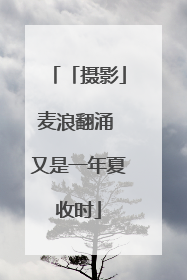 「摄影」麦浪翻涌 又是一年夏收时