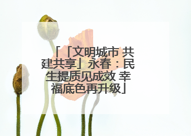 「文明城市 共建共享」永春：民生提质见成效 幸福底色再升级