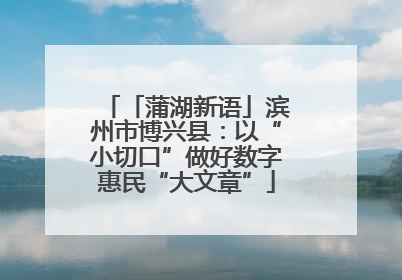 「蒲湖新语」滨州市博兴县：以“小切口”做好数字惠民“大文章”
