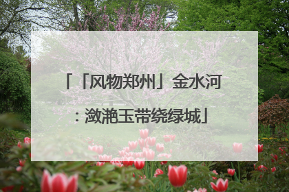 「风物郑州」金水河：潋滟玉带绕绿城