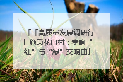 「高质量发展调研行」施秉花山村：奏响“红”与“绿”交响曲