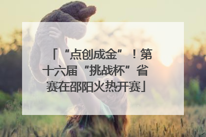 “点创成金”！第十六届“挑战杯”省赛在邵阳火热开赛