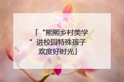 “熙熙乡村美学”进校园特殊孩子欢度好时光
