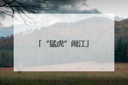 “猛虎”闹江