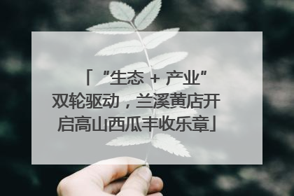 “生态 + 产业”双轮驱动，兰溪黄店开启高山西瓜丰收乐章
