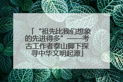 “祖先比我们想象的先进得多”——考古工作者泰山脚下探寻中华文明起源