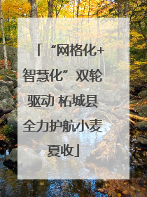 “网格化+智慧化”双轮驱动 柘城县全力护航小麦夏收