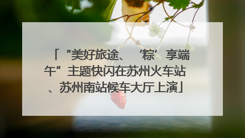 “美好旅途、‘粽’享端午”主题快闪在苏州火车站、苏州南站候车大厅上演
