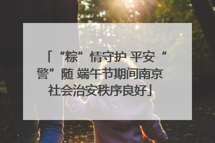 “粽”情守护 平安“警”随 端午节期间南京社会治安秩序良好