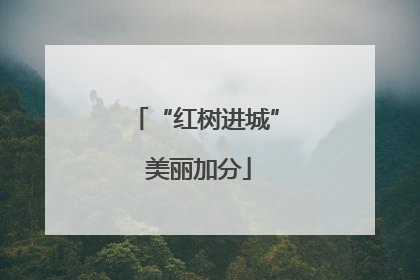 “红树进城” 美丽加分