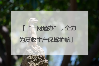 “一网通办”，全力为夏收生产保驾护航