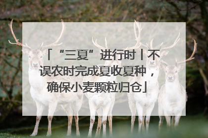 “三夏”进行时丨不误农时完成夏收夏种，确保小麦颗粒归仓