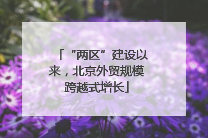 “两区”建设以来，北京外贸规模跨越式增长