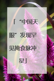 “中国天眼”发现罕见掩食脉冲星