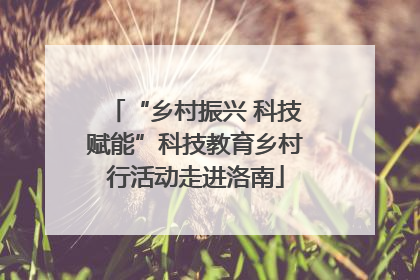 “乡村振兴 科技赋能”科技教育乡村行活动走进洛南