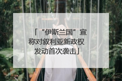 “伊斯兰国”宣称对叙利亚新政权发动首次袭击