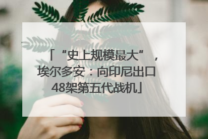 “史上规模最大”，埃尔多安：向印尼出口48架第五代战机