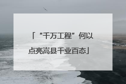 “千万工程”何以点亮嵩县千业百态