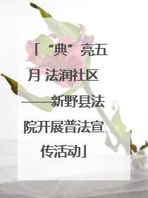 “典”亮五月 法润社区——新野县法院开展普法宣传活动