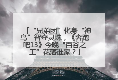 “兄弟团”化身“神鸟”智夺灵珠，《奔跑吧13》今晚“百谷之王”花落谁家？