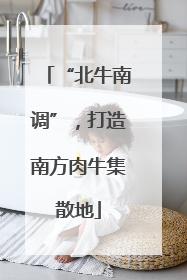 “北牛南调”，打造南方肉牛集散地