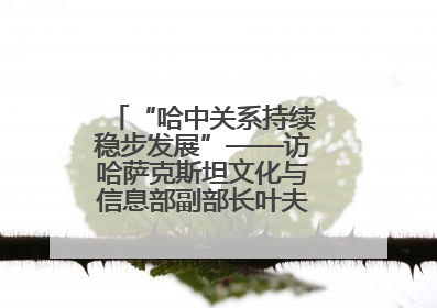 “哈中关系持续稳步发展”——访哈萨克斯坦文化与信息部副部长叶夫根尼·科切托夫