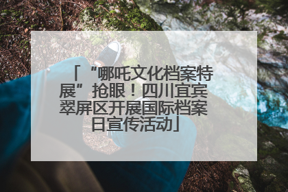 “哪吒文化档案特展”抢眼！四川宜宾翠屏区开展国际档案日宣传活动