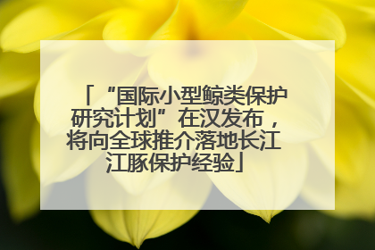 “国际小型鲸类保护研究计划”在汉发布，将向全球推介落地长江江豚保护经验