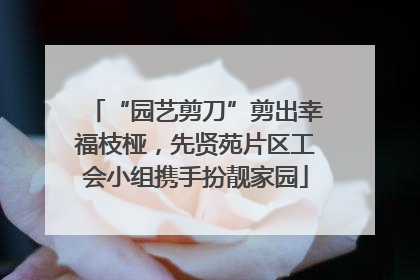 “园艺剪刀”剪出幸福枝桠，先贤苑片区工会小组携手扮靓家园