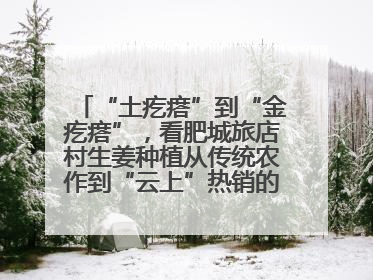 “土疙瘩”到“金疙瘩”，看肥城旅店村生姜种植从传统农作到“云上”热销的蝶变之路