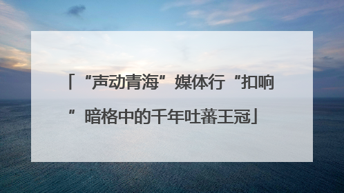 “声动青海”媒体行“扣响”暗格中的千年吐蕃王冠