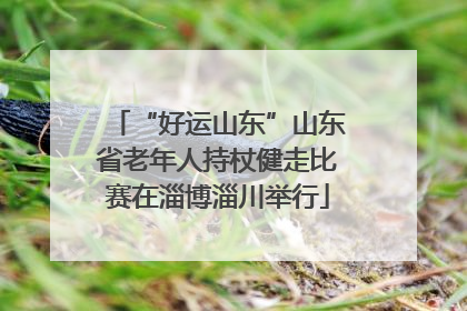 “好运山东”山东省老年人持杖健走比赛在淄博淄川举行