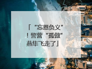“忘恩负义”！警营“孤傲”燕隼飞走了