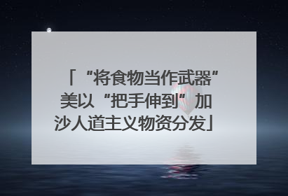 “将食物当作武器” 美以“把手伸到”加沙人道主义物资分发