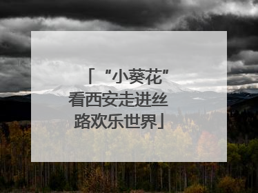 “小葵花”看西安走进丝路欢乐世界
