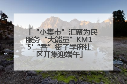 “小集市”汇聚为民服务“大能量”KM15′“香”街子学府社区开集迎端午