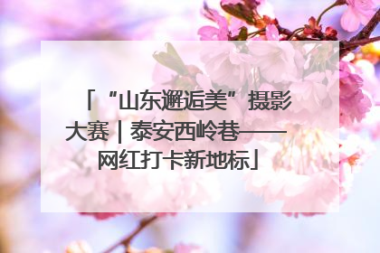 “山东邂逅美”摄影大赛｜泰安西岭巷——网红打卡新地标