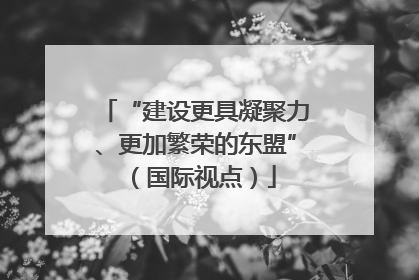 “建设更具凝聚力、更加繁荣的东盟”（国际视点）