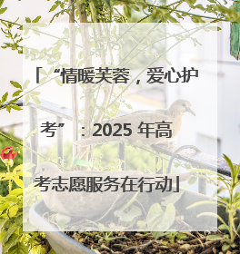 “情暖芙蓉，爱心护考”：2025 年高考志愿服务在行动