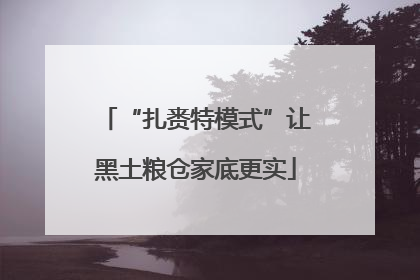 “扎赉特模式”让黑土粮仓家底更实
